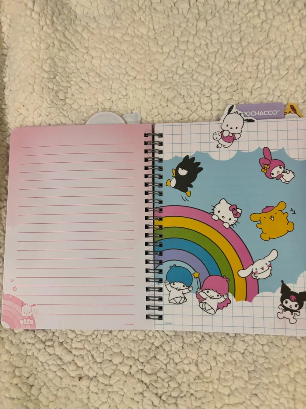 Hello Kitty/ Strawberry Shortcake notebooks